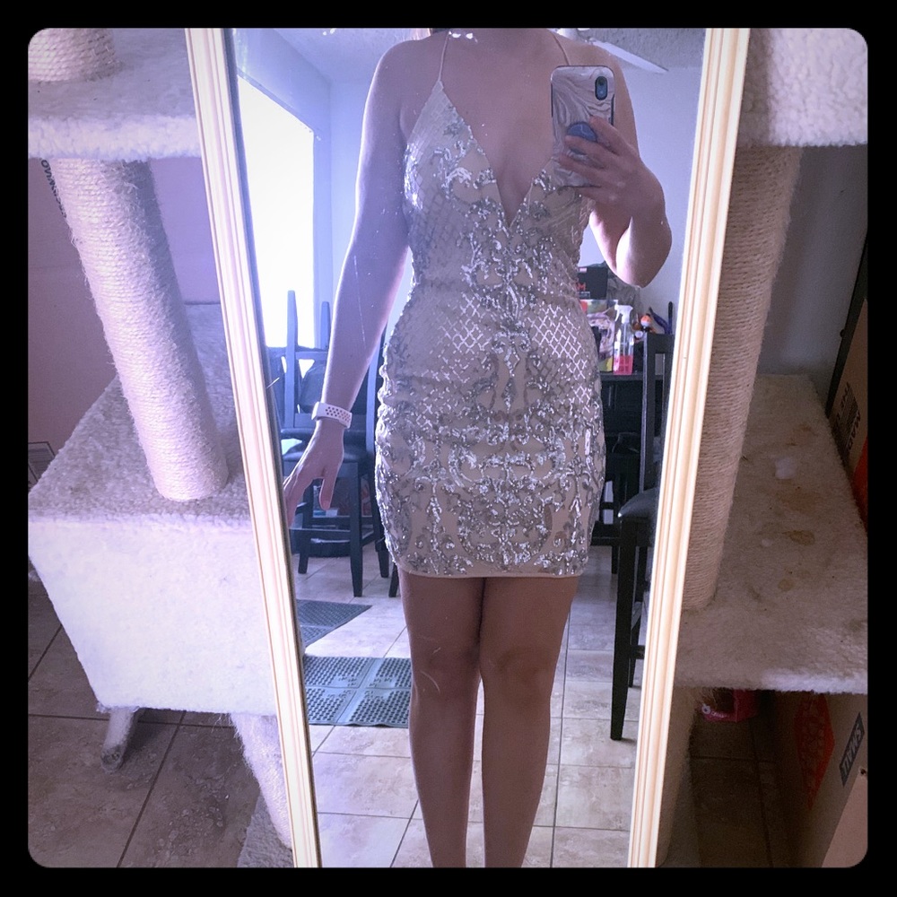Windsor Nude & Silver Dress